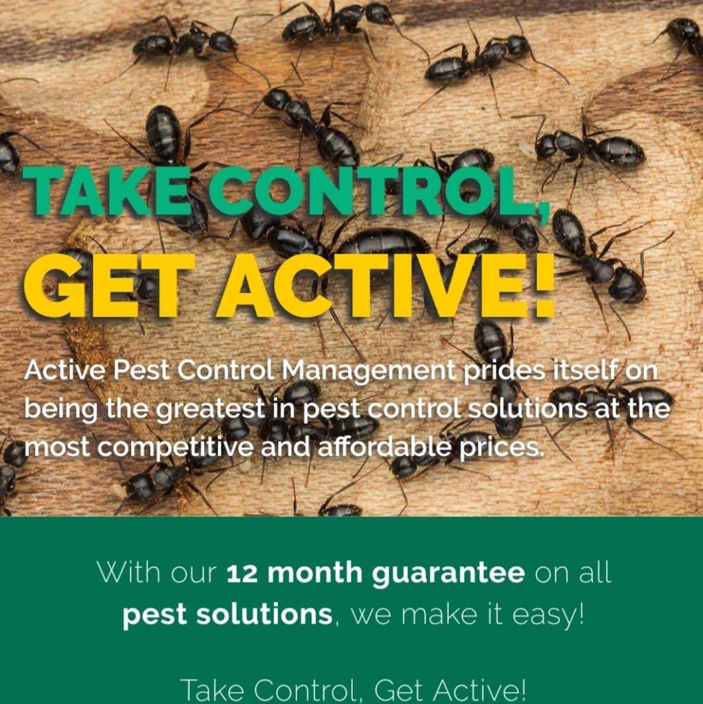 Active Pest Control Management - Pest & Termite Control | home goods store | Loveday Street, Oran Park NSW 2570, Australia | 0426221296 OR +61 426 221 296