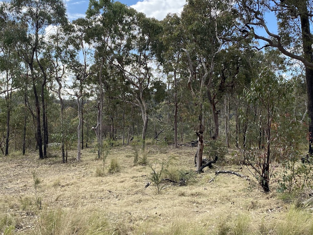 Kamameja remote bush camp | 8VX7+PX, Doyles Creek NSW 2330, Australia | Phone: 0473 068 872