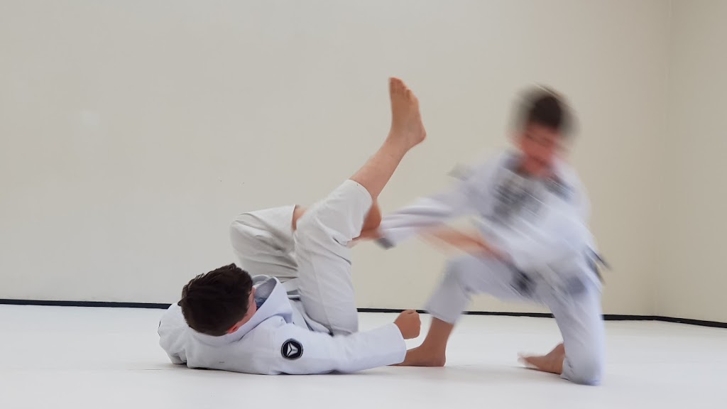 SJJA Blue Mountains Jiu Jitsu Academy | health | 3-7 Scrivener Ln, Springwood NSW 2777, Australia | 0247494908 OR +61 2 4749 4908