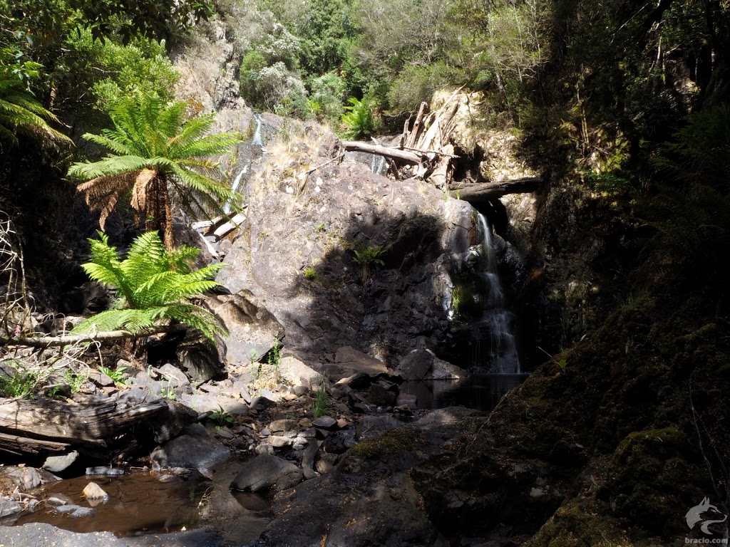 Castra Falls | Nietta TAS 7315, Australia