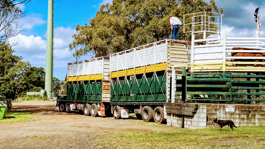 Wilds Livestock Transport |  | 395 Landsborough Maleny Rd, Bald Knob QLD 4552, Australia | 0428713514 OR +61 428 713 514