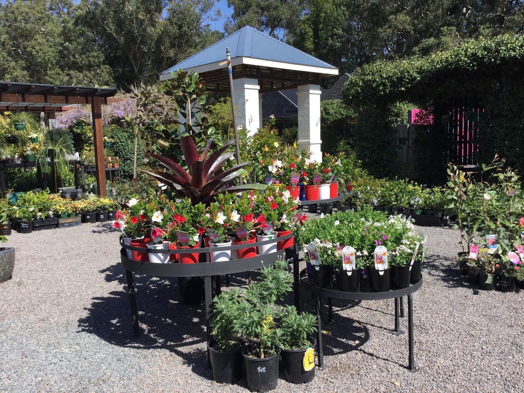 Plant Trade Nursery | 4310 Nelson Bay Rd, Anna Bay NSW 2316, Australia | Phone: (02) 4982 5095