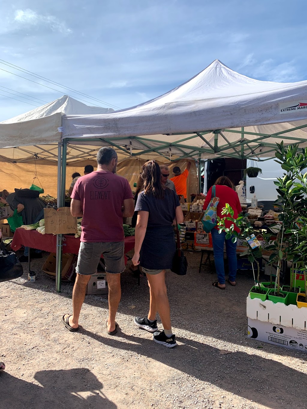 Fishermans Road Sunday Markets | Fishermans Rd, Maroochydore QLD 4558, Australia | Phone: 0429 109 149