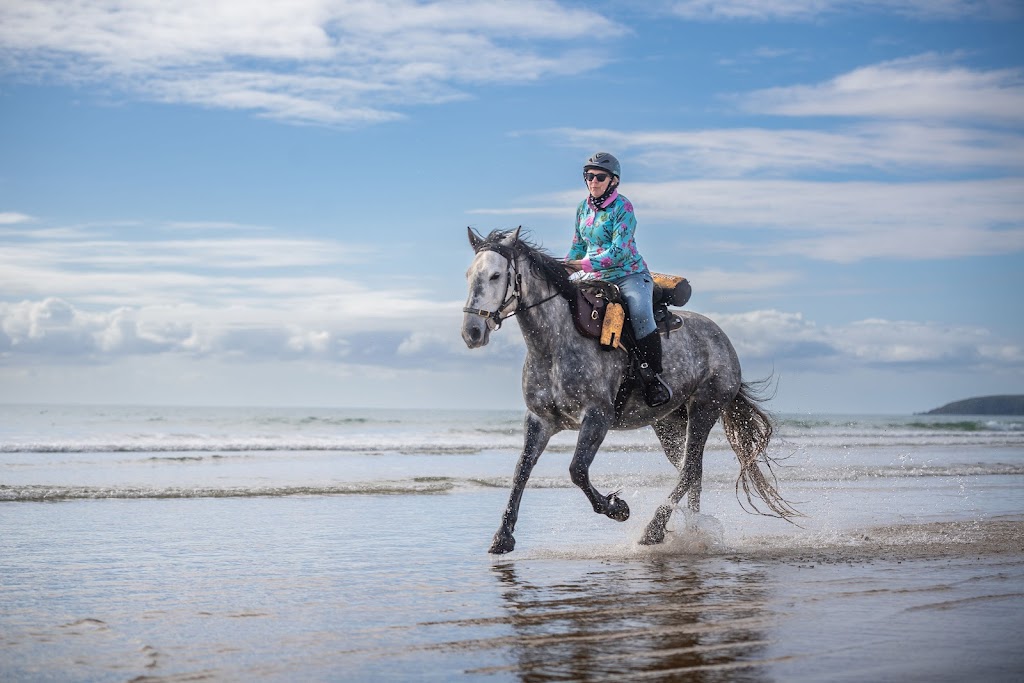 Pure Dust | 593 Laytons Range Rd, Nymboida NSW 2460, Australia | Phone: 0417 647 628