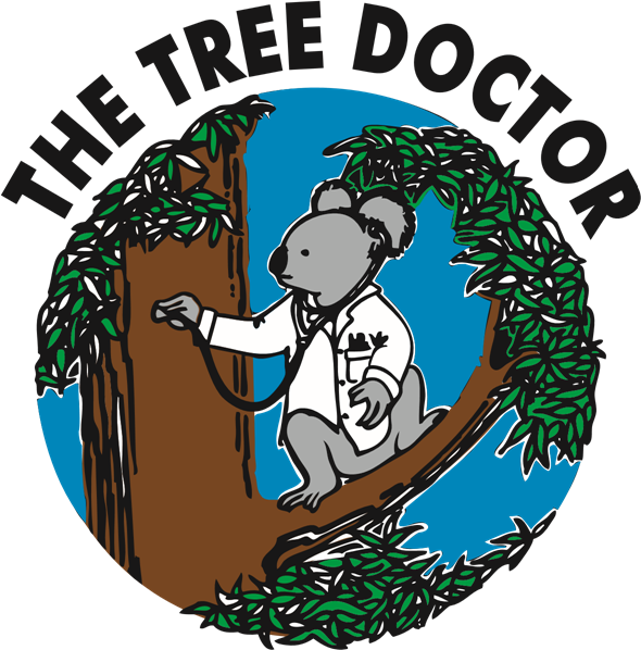 The Tree Doctor |  | 80-82 Beresford Rd, Greystanes NSW 2154, Australia | 0296288000 OR +61 2 9628 8000