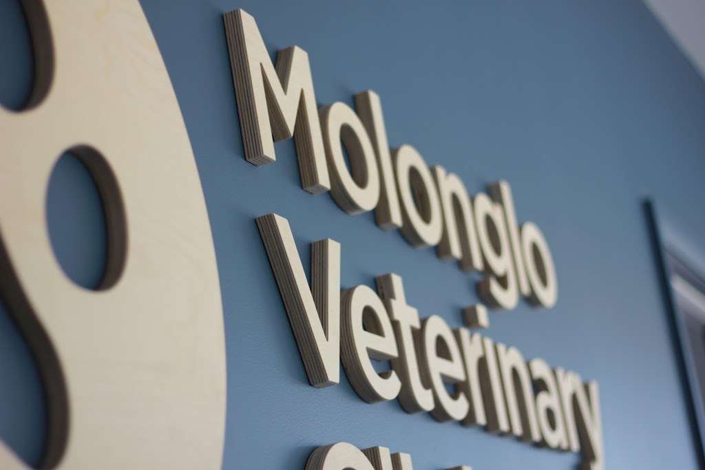 Molonglo Veterinary Clinic | veterinary care | 110 Woodberry Ave, Coombs ACT 2611, Australia | 0261475577 OR +61 2 6147 5577