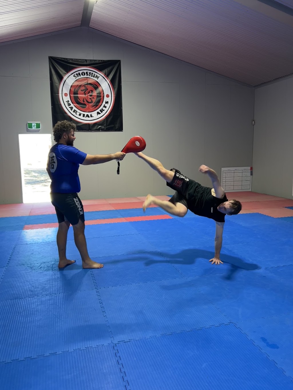 DogFight Combatives BJJ & MMA | 66 Ring St, Inverell NSW 2360, Australia | Phone: 0427 959 464