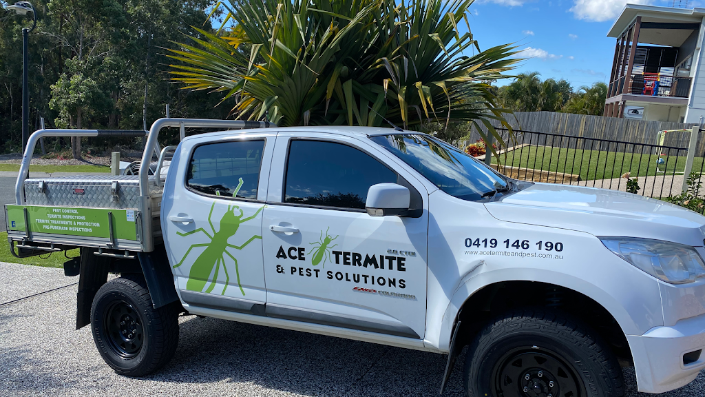 Ace Termite & Pest Solutions | home goods store | 10 The Pkwy, Caloundra QLD 4551, Australia | 0419146190 OR +61 419 146 190