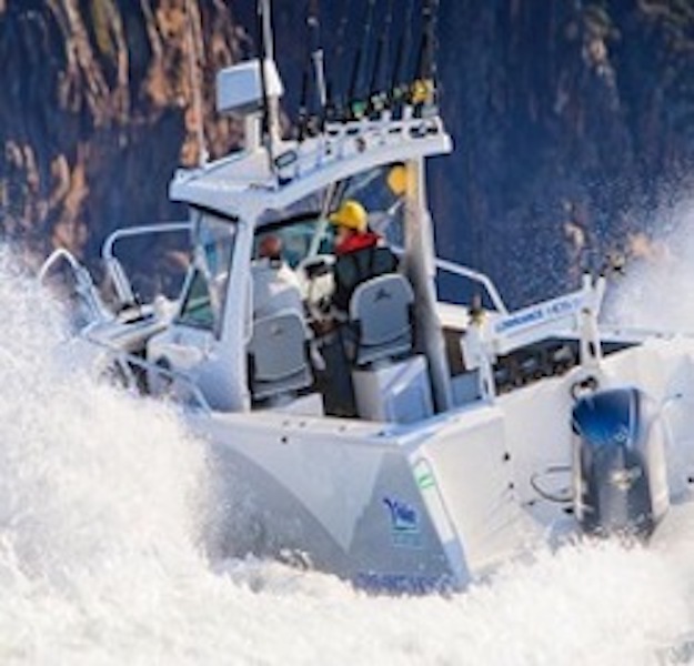 Affordable Boats 2U | 4 Coach House Pl, Mooloolah Valley QLD 4553, Australia | Phone: 1300 755 504