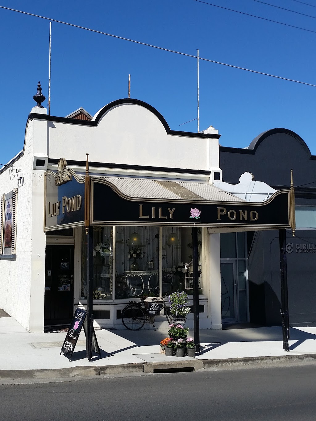 Lily Pond | furniture store | 303 Moorabool St, Geelong VIC 3220, Australia | 0352242228 OR +61 3 5224 2228