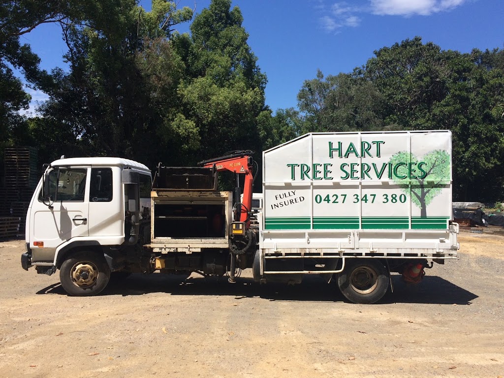 Hart Tree Services | 17 Golden Penda Pl, Mullumbimby NSW 2482, Australia | Phone: 0427 347 380