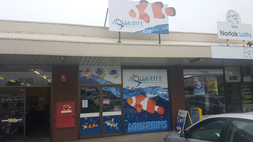 Aqua Life Warrnambool Aquarium | pet store | 4/743 Raglan Parade, Warrnambool VIC 3280, Australia | 0355628790 OR +61 3 5562 8790
