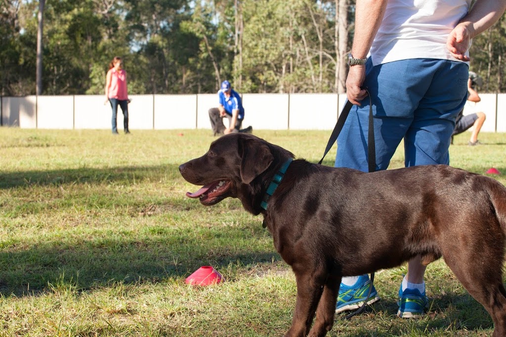 Excel Dog Training | 111 Attunga Rd, Greenbank QLD 4124, Australia | Phone: 0404 122 684