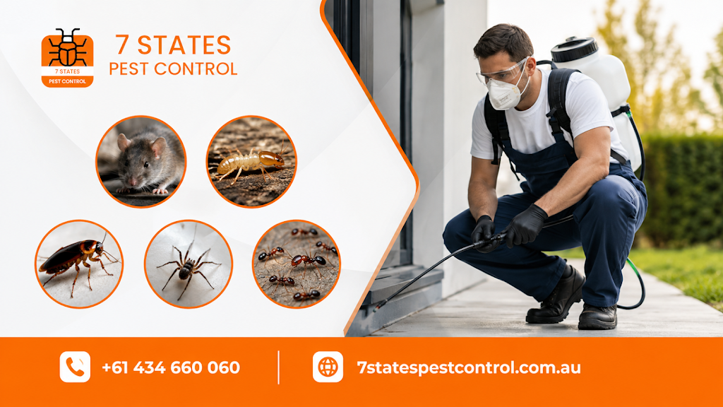 7 States pest control Seymour | 40 Goulburn St, Seymour VIC 3660, Australia | Phone: 0434 660 060