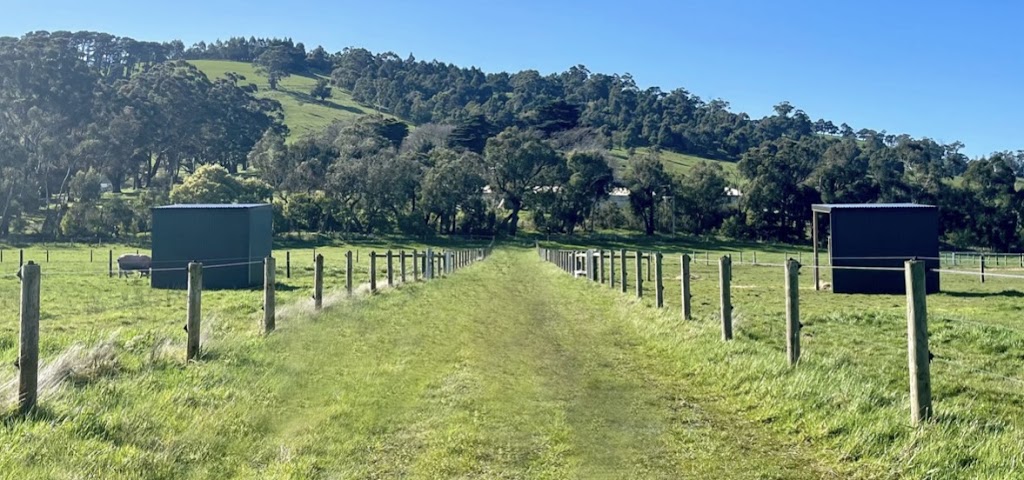 Toomah Farm Equine | 455 Toomuc Valley Rd, Pakenham VIC 3810, Australia | Phone: 0432 899 023