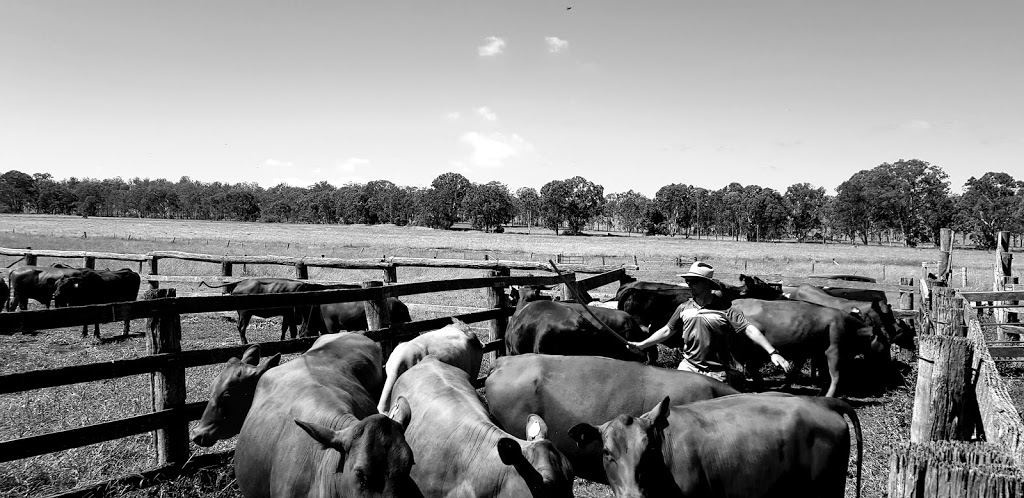Dead Cow Gully |  | 675 Walsh Rd, Runnymede QLD 4615, Australia | 0439666079 OR +61 439 666 079