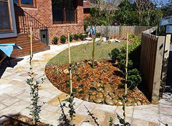 Birdwood Landscape Design - DA Documentation, Arborist Reports,  | store | Servicing all Sydney North Shore, Northern Beaches, Newcastle, Central Coast suburbs, Waitara, Wahroonga, Turramurra, Chatswood, Roseville, Willoughby, Lane Cove, Lindfield, Gordon, Pymble, Kirribilli, Neutral Bay, Cremorne, Waverton, Crows Nest, Manly, Seaforth, Balgowlah, Fairlight, Collaroy, Hornsby, Tuggerah, Berkeley Vale, Gosford, Budgewoi, Woy Woy, Sydney NSW 2250, Australia | 0425360487 OR +61 425 360 487