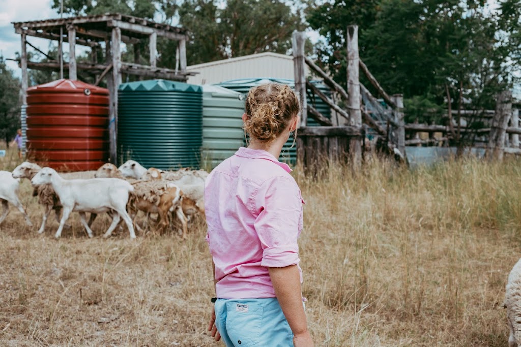 Sky Camp | 940 Camp Creek Rd, Atholwood NSW 2361, Australia | Phone: 0414 355 522
