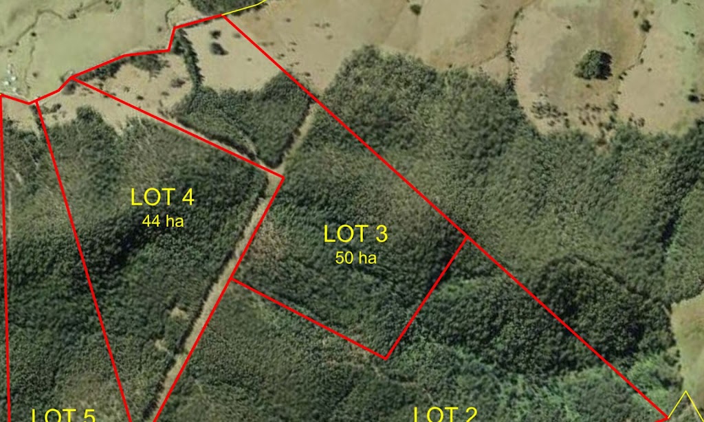 Tailored Town Planning Services | Cowper St, Stroud NSW 2425, Australia | Phone: 0490 084 161