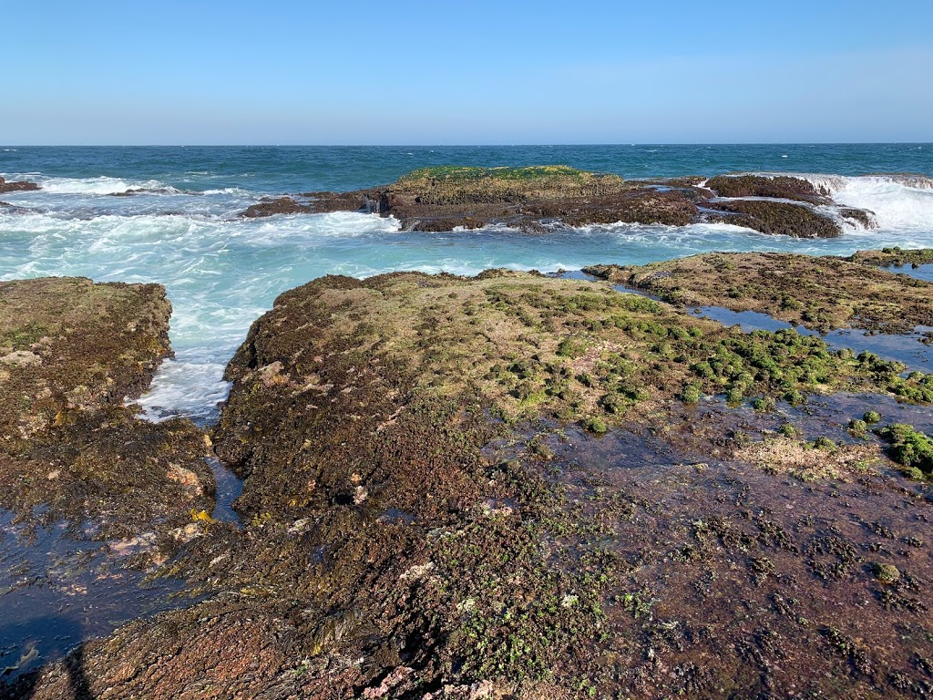 Mona Vale Rockpool | Surfview Rd, Mona Vale NSW 2103, Australia | Phone: 1300 434 434