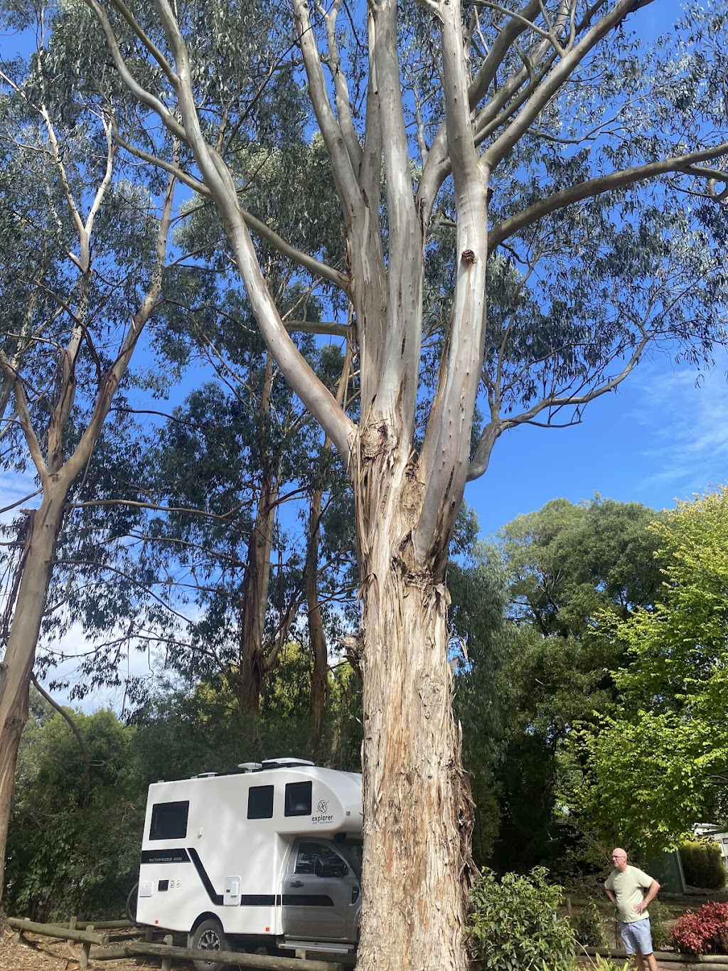 Korumburra Caravan Park | 56 Bourke St, Korumburra VIC 3950, Australia | Phone: (03) 5655 2326