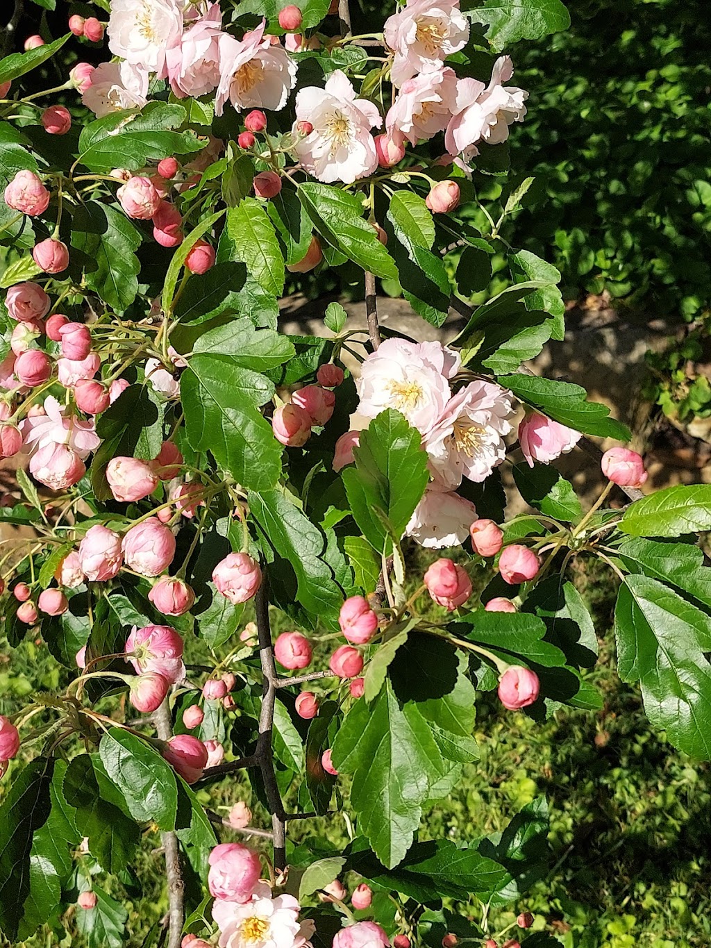 Meriba B and B | Meriba B and B, 68 River View Rd, Bundanoon NSW 2578, Australia | Phone: 0418 647 852