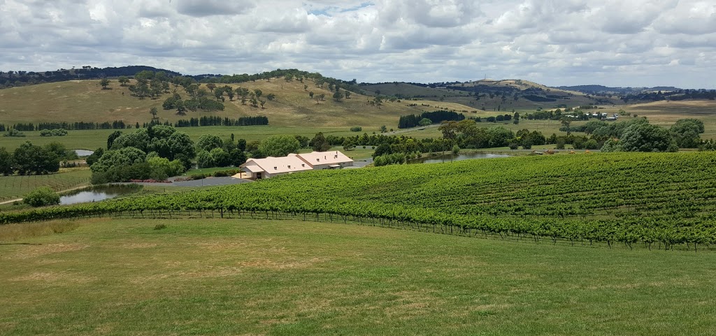 Turners Vineyard | 4929 Mitchell Hwy, Lucknow NSW 2800, Australia | Phone: (02) 6369 1045