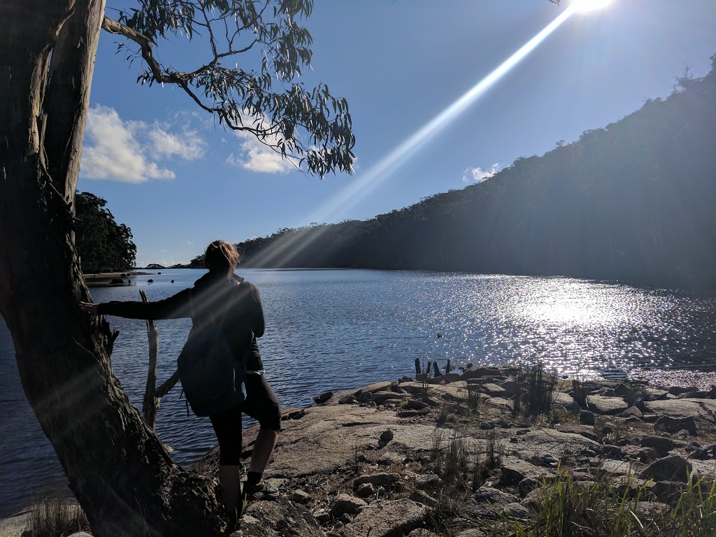 Mount Buangor State Park | Ferntree Gully Rd, Raglan VIC 3373, Australia | Phone: 13 19 63