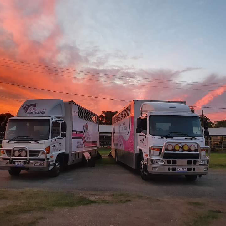 Ultimate Horse Transport | 1236 Tooma Rd, Burra NSW 2653, Australia | Phone: 0413 065 126