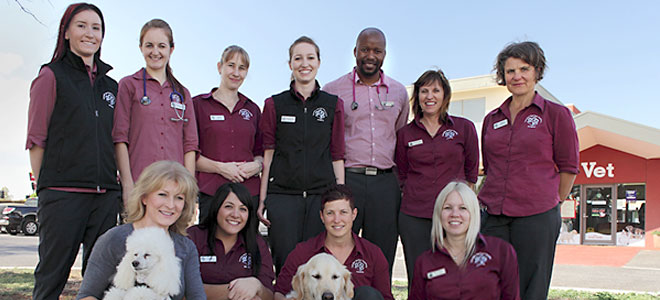 Caroline Springs Veterinary Hospital | veterinary care | 225-227 Caroline Springs Blvd, Caroline Springs VIC 3023, Australia | 0383902266 OR +61 3 8390 2266