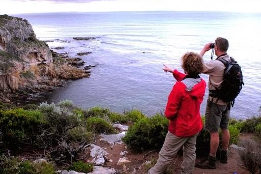 Cape to Cape Explorer Tours | travel agency | 1/24 Auger Way West, Margaret River WA 6285, Australia | 0459452038 OR +61 459 452 038