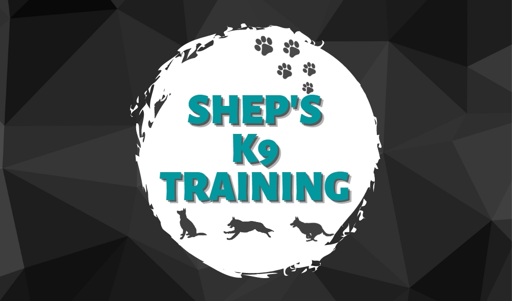 Sheps K9 Training | 155 Zeerust Rd, Zeerust VIC 3634, Australia | Phone: 0447 055 055