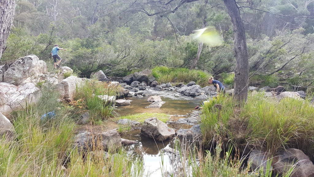 Gilgurry State Forest | park | Boorook NSW 2372, Australia