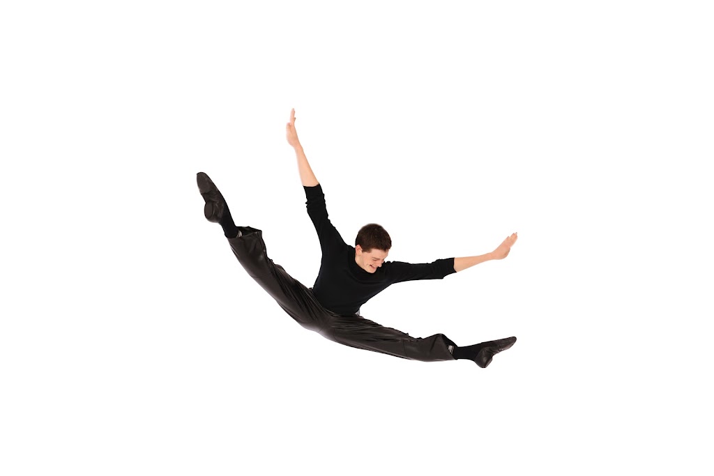 Danzart Studio | 83 Oateson Skyline Dr, Seven Hills QLD 4170, Australia | Phone: (07) 3843 3011