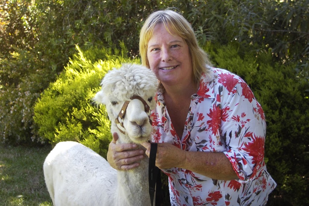 Alpaca Dental Services | 10 Hatfield Rd, Pakenham VIC 3810, Australia | Phone: 0427 654 330