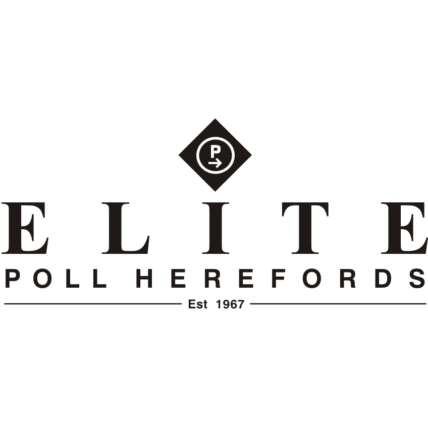 Elite Poll Herefords | food | Eulalia, Waverley Rd, Gundy NSW 2337, Australia | 0265458135 OR +61 2 6545 8135