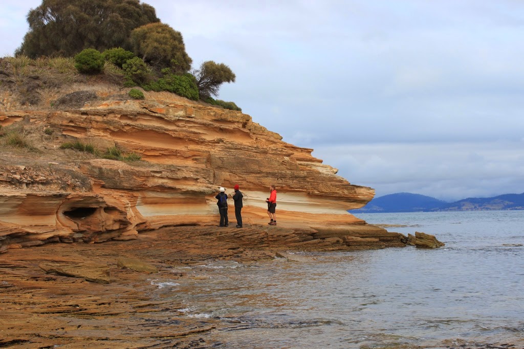 The Maria Island Guided Walk | Darlington, Maria Island TAS 7000, Australia | Phone: 0400 882 742