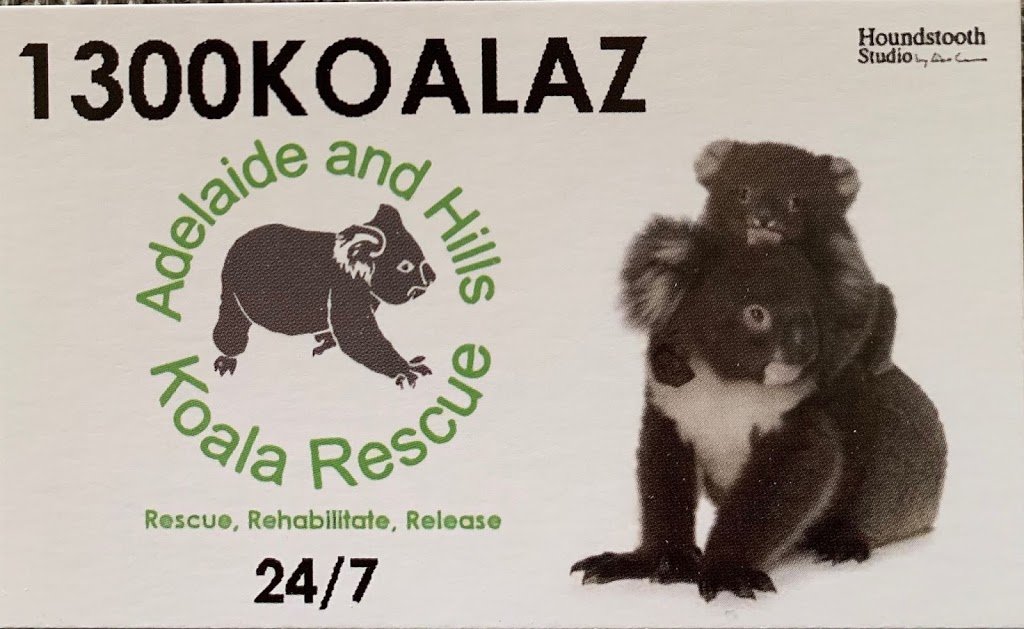 Adelaide and Hills Koala Rescue - 1300KOALAZ Inc | Bowen Rd, Tea Tree Gully SA 5091, Australia | Phone: 1300 562 529