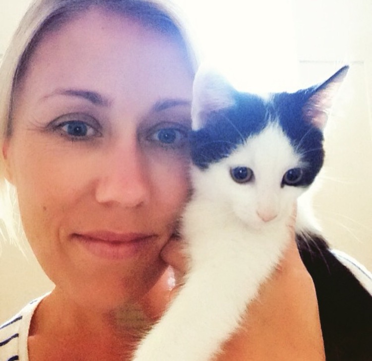 Cat Companion | 18 Binaville Ave, Burraneer NSW 2230, Australia | Phone: 0421 088 150