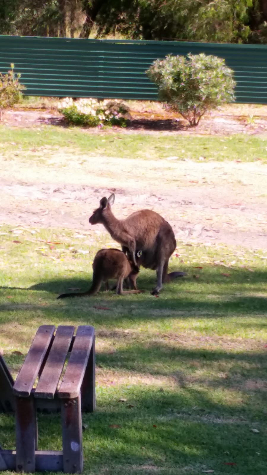 Ocean Beach Hideaway | 768 Ocean Beach Rd, Denmark WA 6333, Australia | Phone: (08) 9848 2986