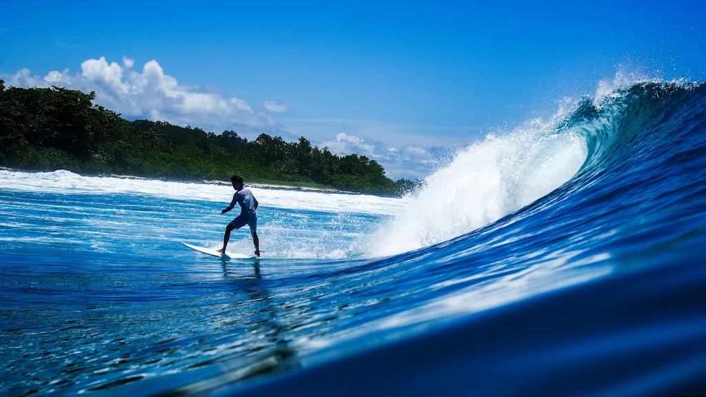 Gold Coast Surf Experience | 1505 Gold Coast Hwy, Palm Beach QLD 4221, Australia | Phone: 0418 515 819