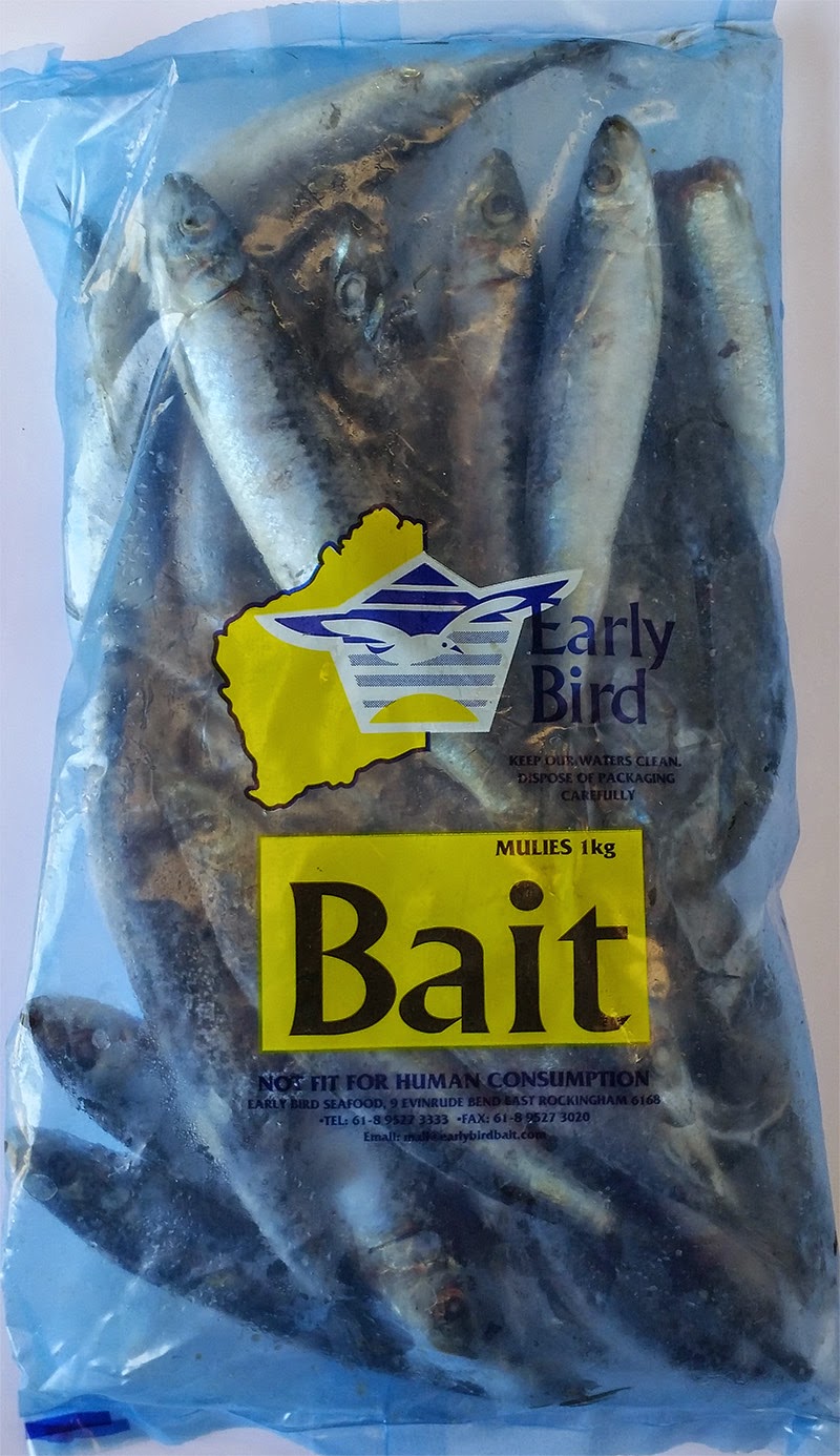 Earlybird Bait | 9 Evinrude Bend, East Rockingham WA 6168, Australia | Phone: (08) 9527 3333