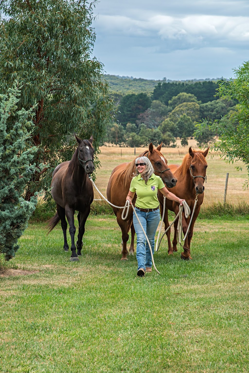 Ranges Animal Biomechanical Medicine | 66 Wisemans Ln, Newham VIC 3442, Australia | Phone: 0459 055 245