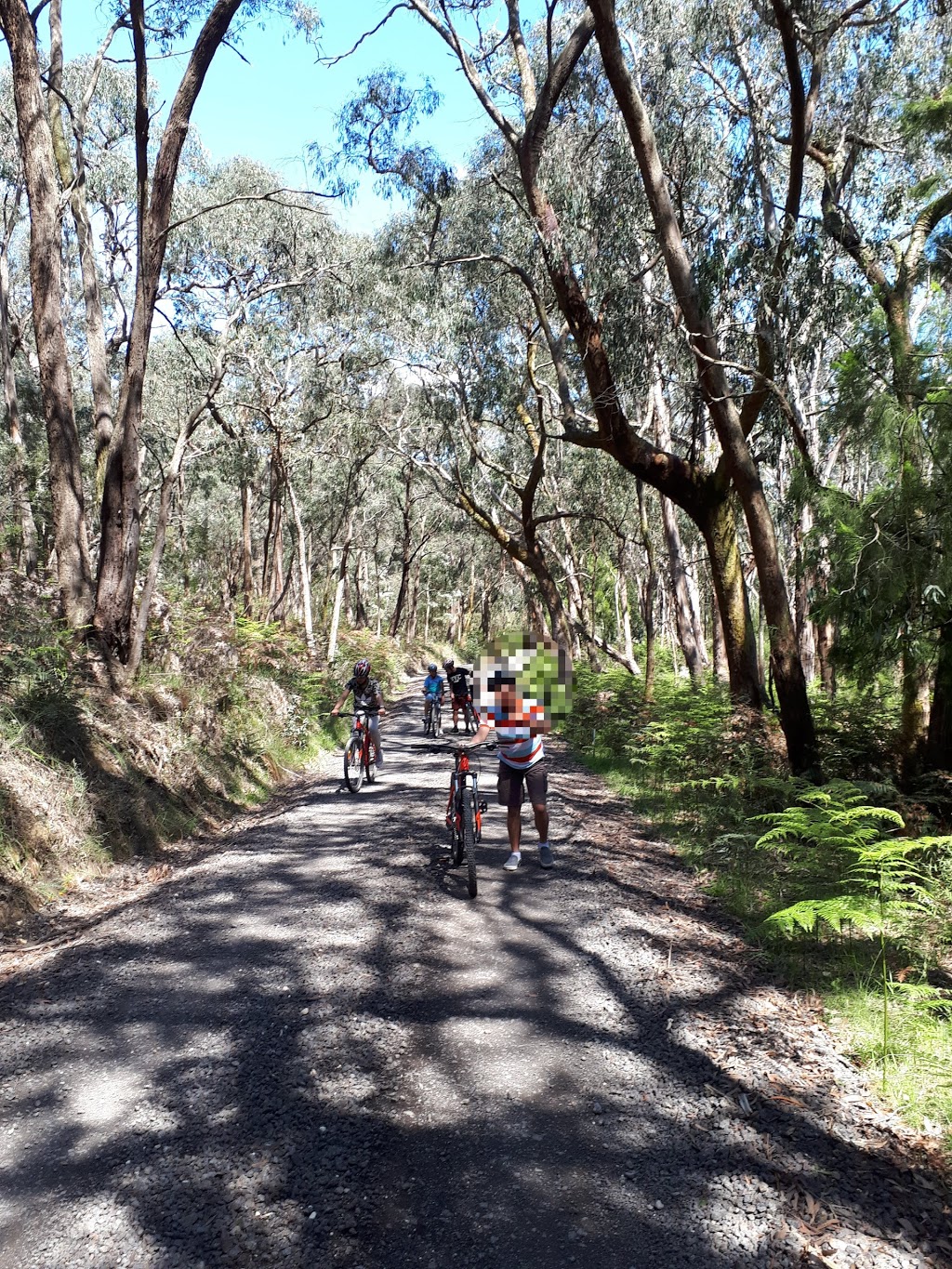 Anglesea Valley Lodge | 635 Wensleydale Station Rd, Wensleydale VIC 3241, Australia | Phone: (03) 9497 2899