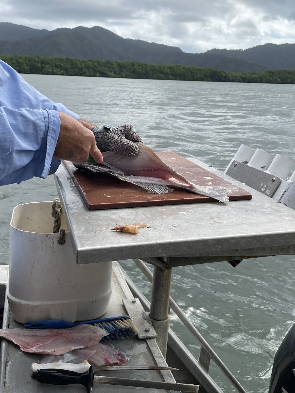 Daintree River Fishing & Photography Tours |  | Cape Tribulation Rd, Lower Daintree QLD 4873, Australia | 0488907776 OR +61 488 907 776