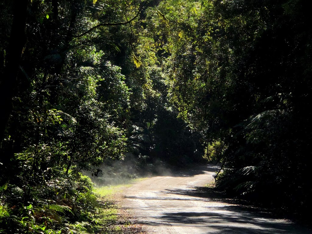 Main Range National Park, Goomburra Section | Goomburra QLD 4362, Australia | Phone: (07) 4529 8334