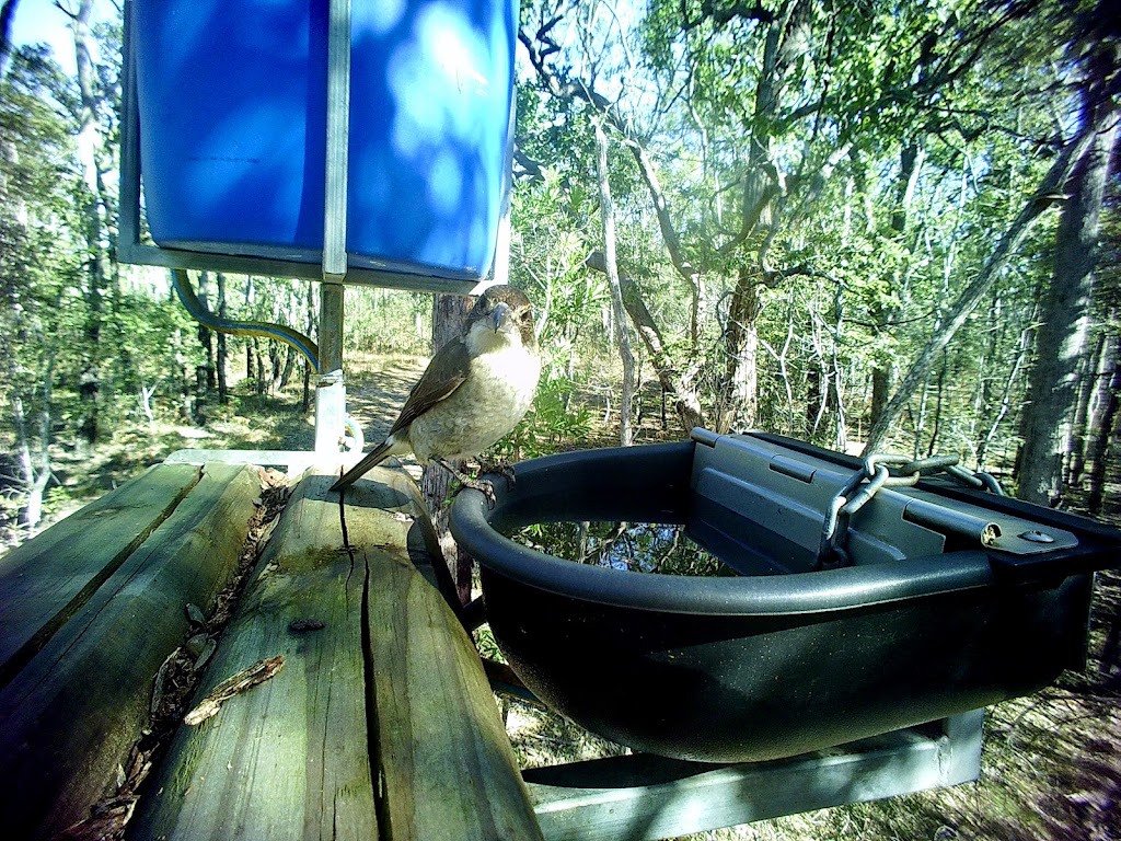 ISTARI - Australian Bush Life | 1074 Stockyard Creek Rd, Stockyard Creek NSW 2460, Australia | Phone: 0458 009 679