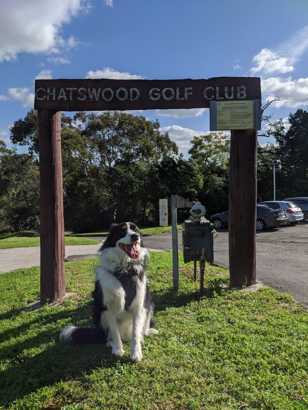 Chatswood Golf Club | 128 Beaconsfield Rd, Chatswood NSW 2067, Australia | Phone: (02) 9419 2336