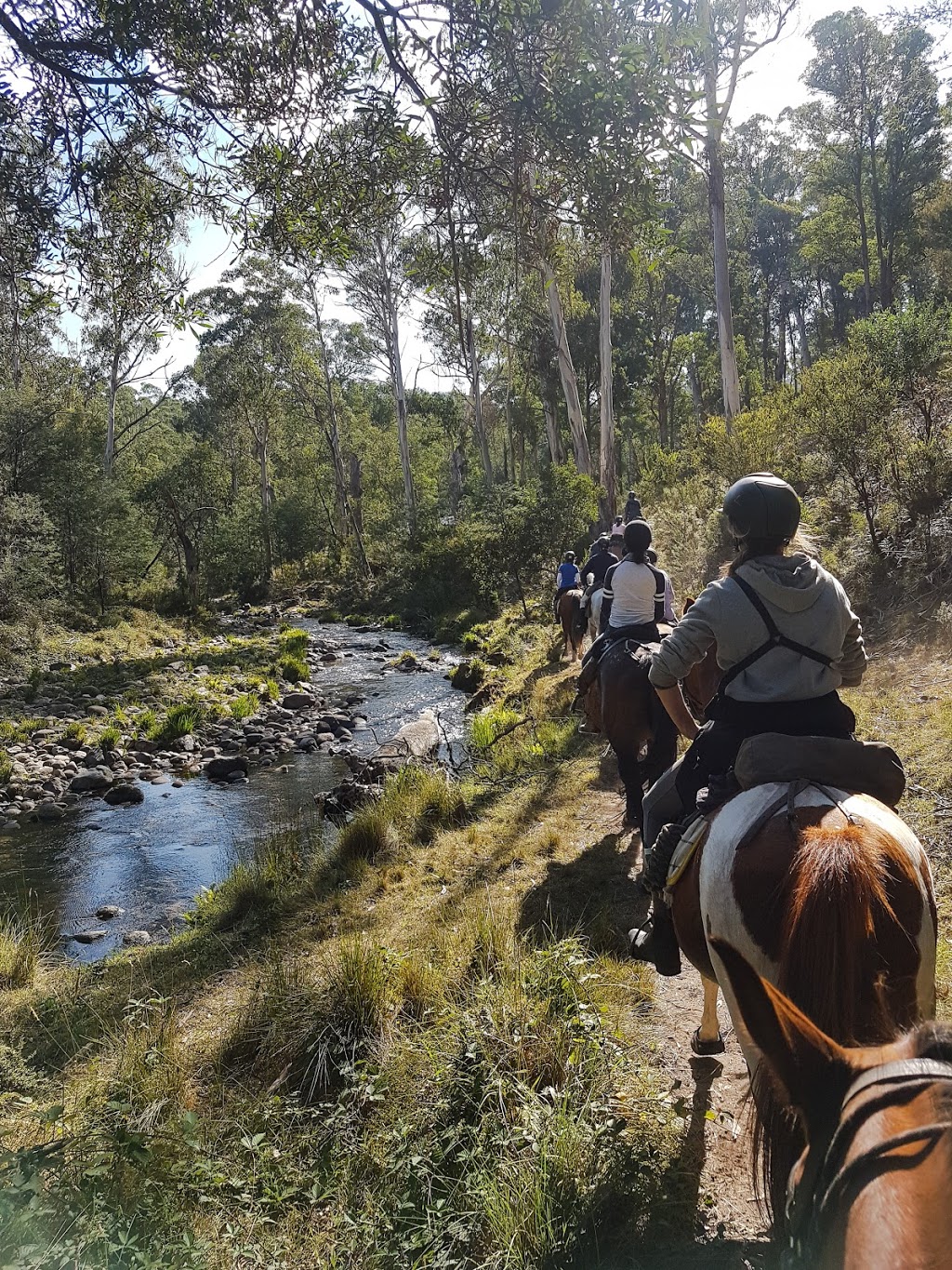High Country Horse Rides | travel agency | 10 McCormacks Rd., Merrijig VIC 3723, Australia | 0357775590 OR +61 3 5777 5590