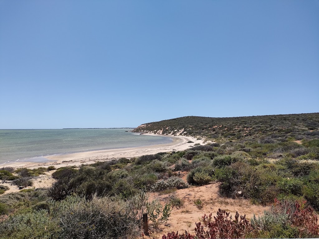 Ocean Park Aquarium | 1 Ocean Park Rd, Shark Bay WA 6537, Australia | Phone: (08) 9948 1765
